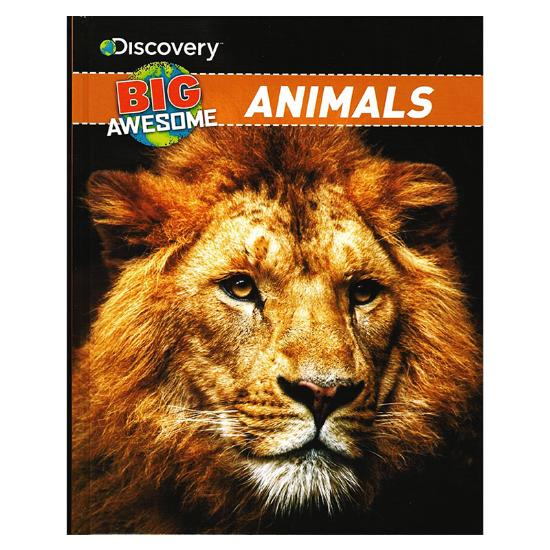 Learning is Fun. DISCOVERY BIG AWESOME-ANIMALS