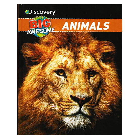 Learning is Fun. DISCOVERY BIG AWESOME-ANIMALS Learning is Fun. DISCOVERY BIG AWESOME-ANIMALS