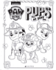 Picture of NICKELODEON PAW PATROL COLORING BOOK 16PP-PUPS AT PLAY 