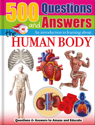 Picture of 500  QUESTIONS AND ANSWERS-THE HUMAN BODY