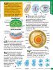 Picture of 500 FANTASTIC FACTS-BIOLOGY