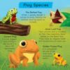 Picture of SMART KIDS LIFE CYCLE OF A FROG