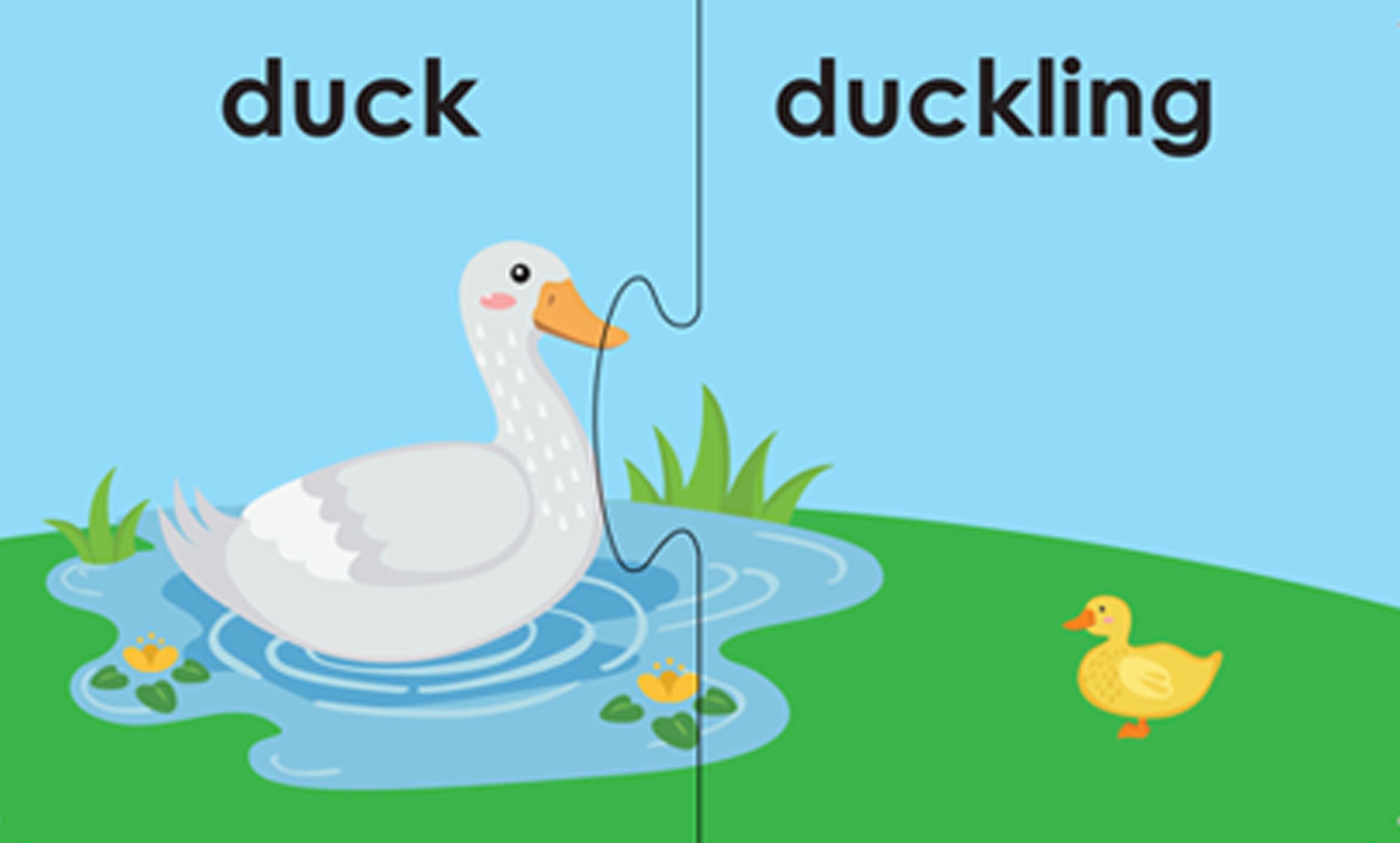 Learning is Fun. CREATIVE CHILDREN LINK & LEARN-ANIMALS