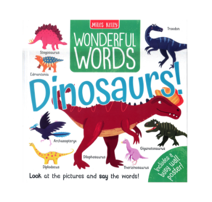 Picture of MK HB WONDERFUL WORDS-DINOSAURS