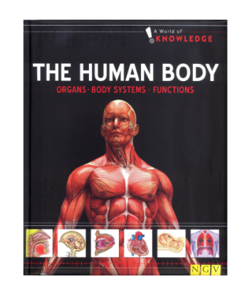 Picture of A WORLD OF KNOWLEDGE-THE HUMAN BODY