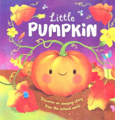 Picture of PICTURE FLATS-LITTLE PUMPKIN