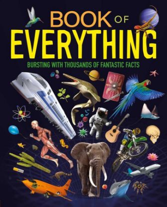Picture of BOOK OF EVERYTHING
