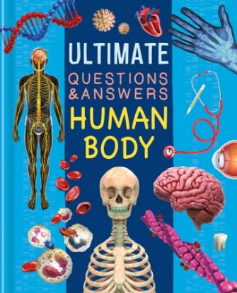 Picture of ULTIMATE QUESTIONS & ANSWERS-HUMAN BODY