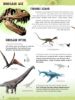 Picture of AMAZING FACTS-DINOSAURS
