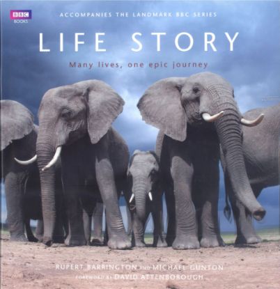 Picture of LIFE STORY MANY LIVES, ONE EPIC JOURNEY