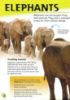 Picture of WONDERS OF LEARNING-DISCOVER ANIMAL ENCYCLOPEDIA