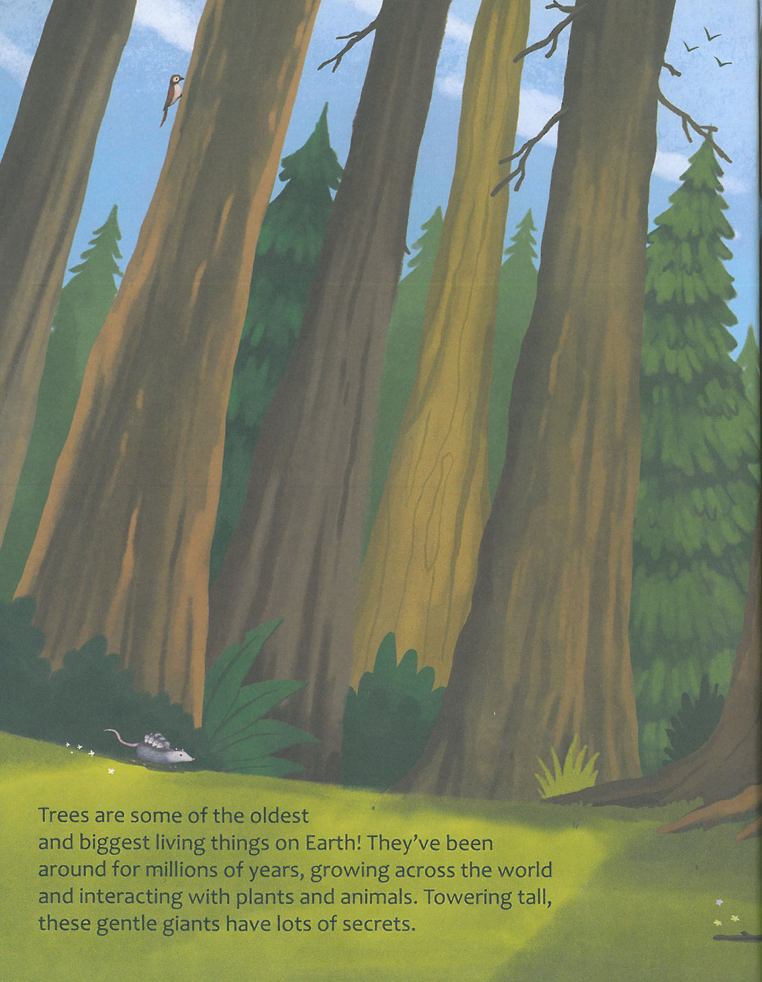 Learning is Fun. THE BIG QUESTIONS ANSWERED-CAN TREES TALK TO EACH OTHER